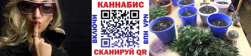 Канабис семена Сольвычегодск